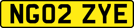 NG02ZYE
