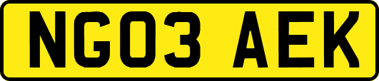 NG03AEK
