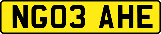 NG03AHE