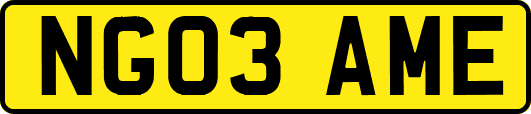 NG03AME