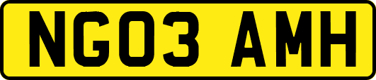 NG03AMH
