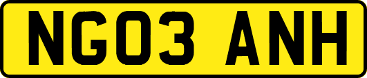 NG03ANH