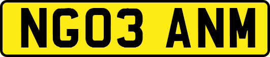 NG03ANM