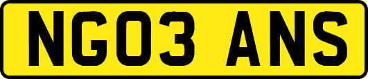 NG03ANS