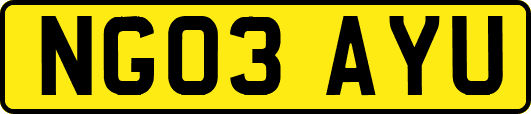 NG03AYU