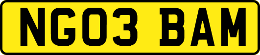NG03BAM