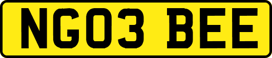 NG03BEE