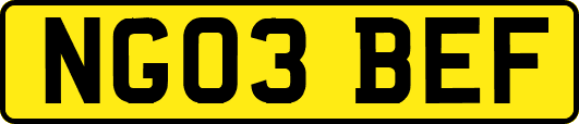 NG03BEF