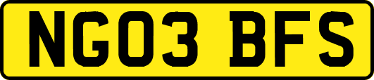 NG03BFS