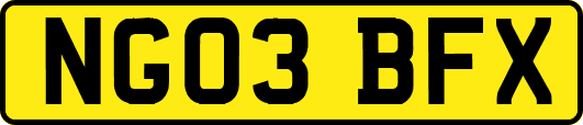 NG03BFX
