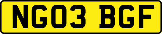 NG03BGF