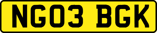 NG03BGK