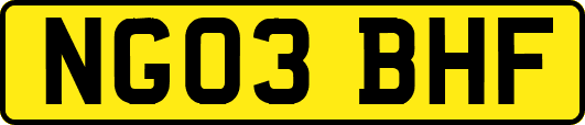 NG03BHF