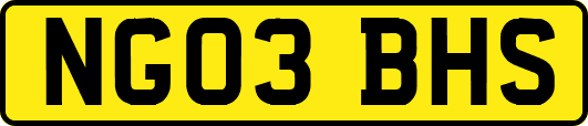 NG03BHS
