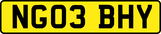 NG03BHY