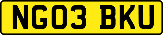 NG03BKU
