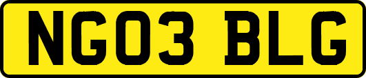 NG03BLG