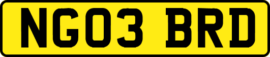 NG03BRD