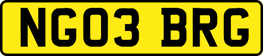NG03BRG