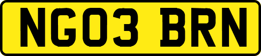 NG03BRN