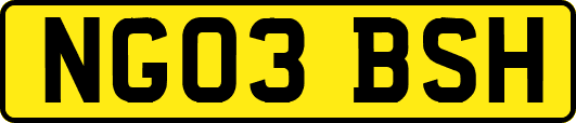 NG03BSH