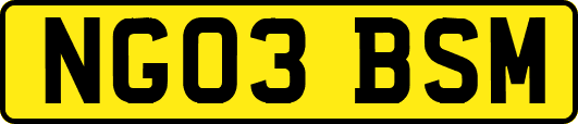 NG03BSM
