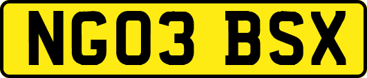 NG03BSX