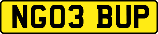 NG03BUP
