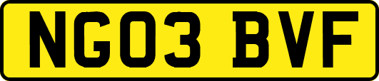 NG03BVF