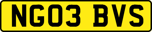 NG03BVS