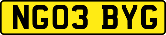 NG03BYG
