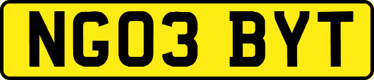NG03BYT