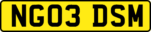 NG03DSM