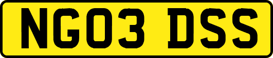 NG03DSS