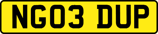 NG03DUP