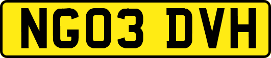 NG03DVH