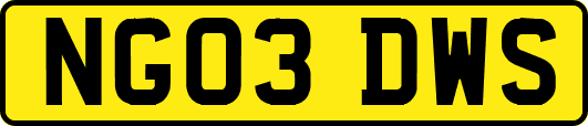 NG03DWS