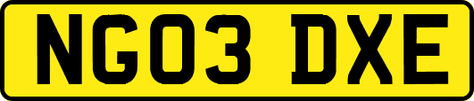 NG03DXE
