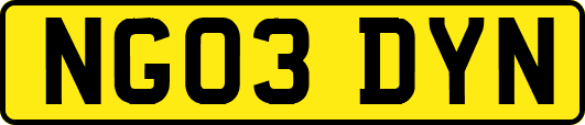 NG03DYN