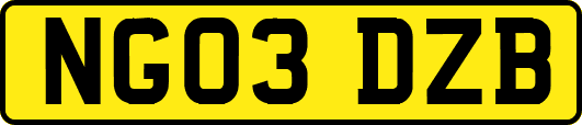 NG03DZB