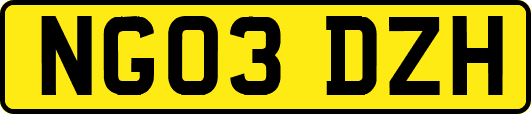 NG03DZH