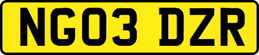 NG03DZR