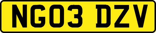 NG03DZV