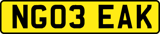 NG03EAK