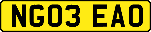 NG03EAO