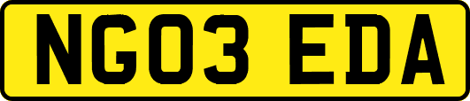 NG03EDA