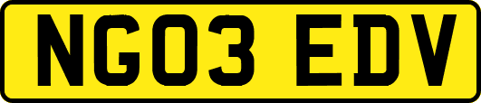 NG03EDV