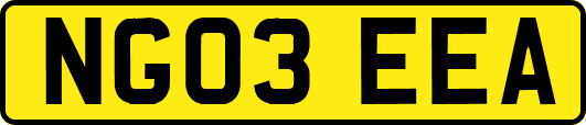 NG03EEA