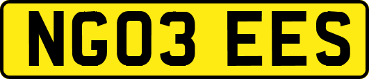 NG03EES