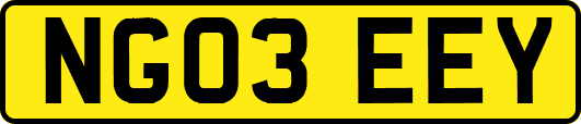 NG03EEY